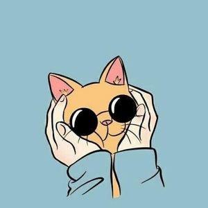 Meet your Posher, Bazic